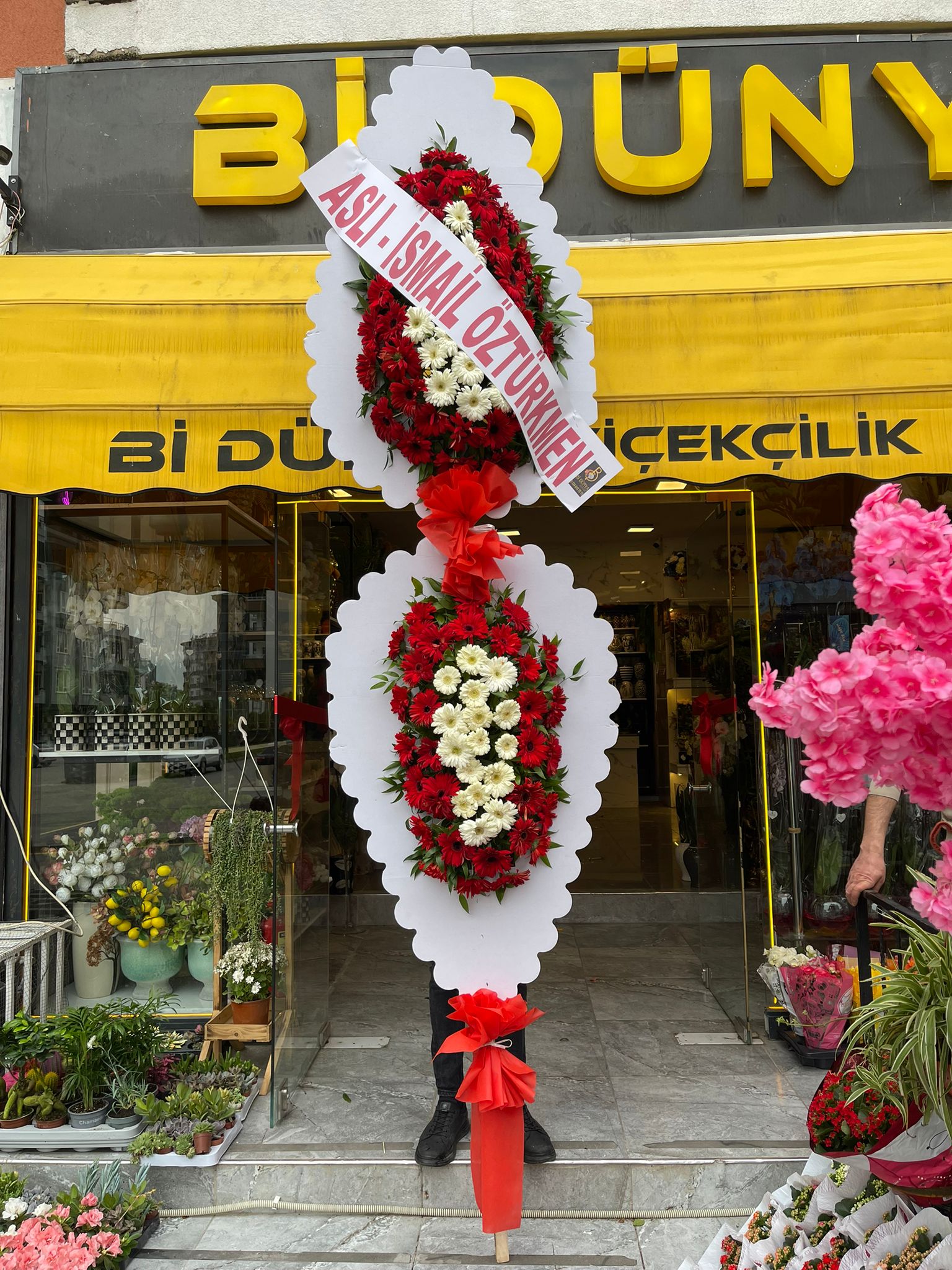 Canlı Çelenk