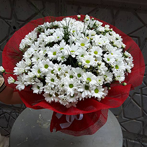 Papatya Buketi