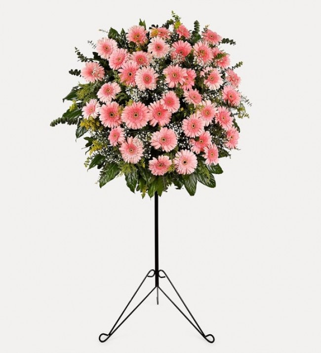 Pembe Gerbera Ferforje