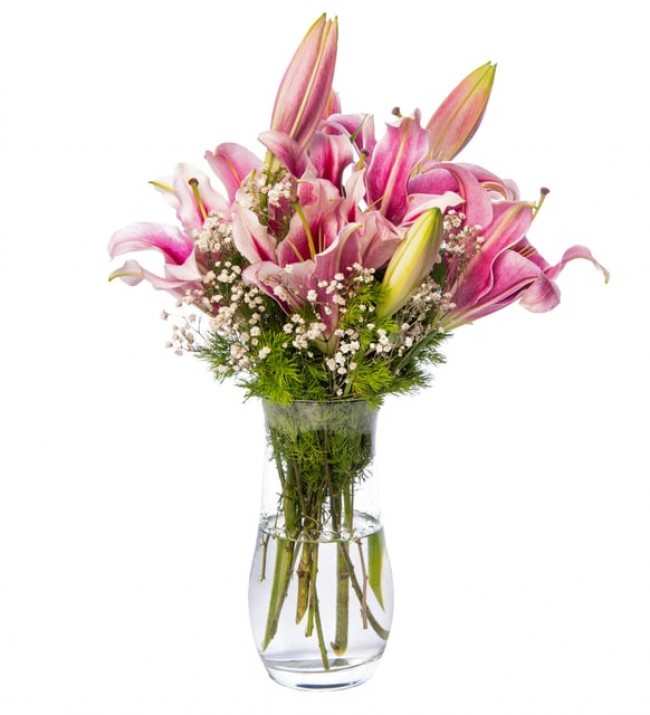 Vazoda Pembe Lilyum